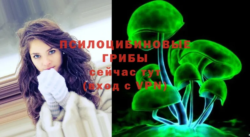 купить наркотики сайты  Зарайск  Галлюциногенные грибы Psilocybe 